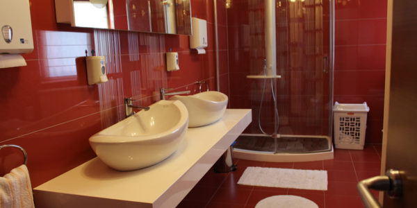 Belgrade – Patient Bathroom